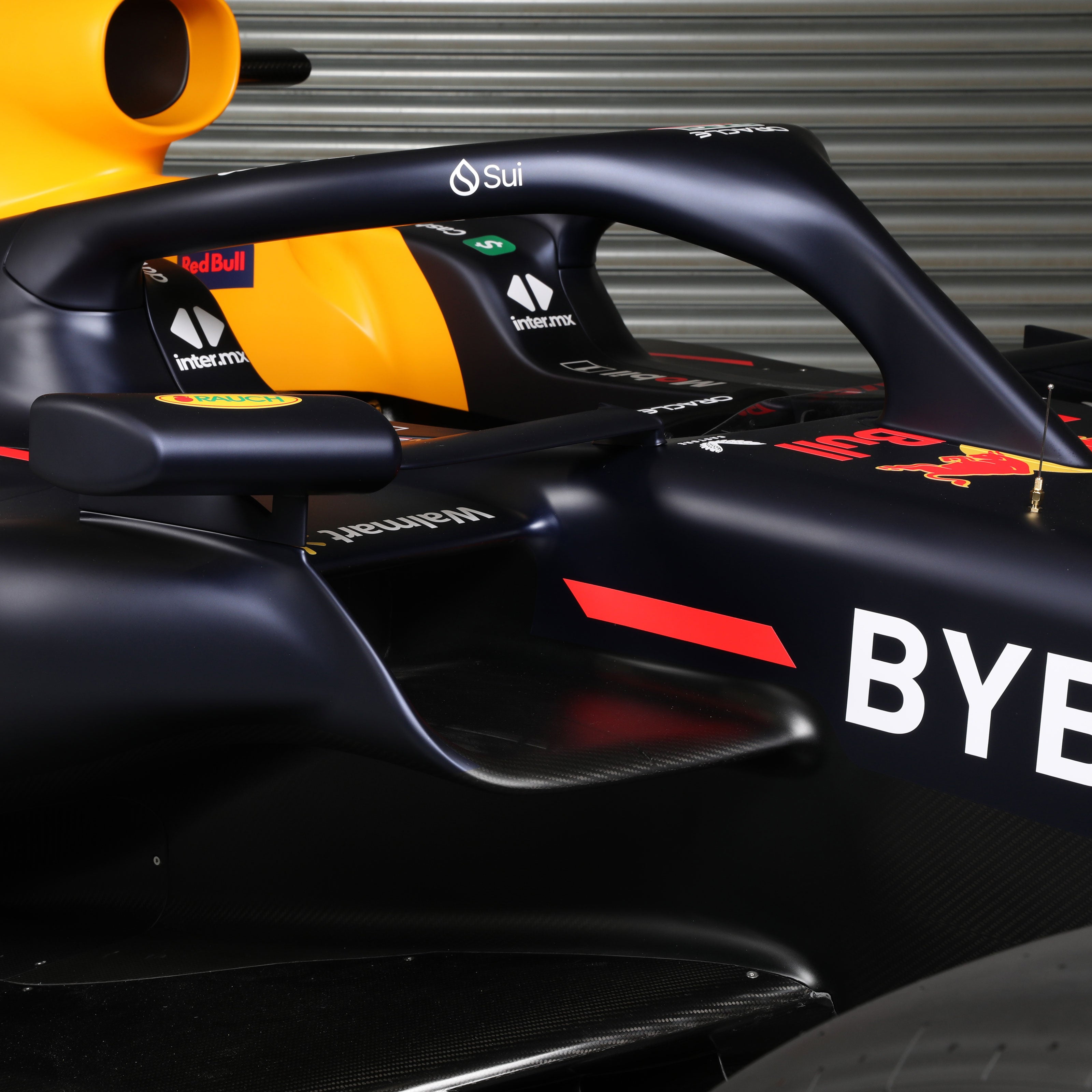 Red Bull Racing RB19 Official Show Car