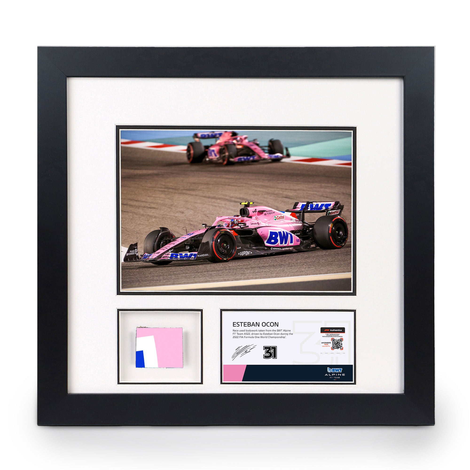 Esteban Ocon 2022 Bodywork & Photo - Bahrain GP