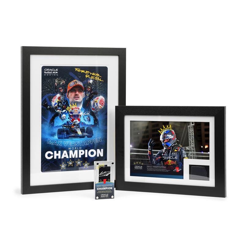 Max Verstappen 2024 'World Champion' Red Bull Racing Replica Bodywork & Photo